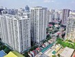 Những giải pháp tháo gỡ khó khăn cho thị trường Web Tổng Nhà Cái 99Kl99 Giải Trí Bậc Nhất bắt đầu phát huy tác dụng. Ảnh: Đức Thanh