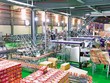 Dây chuyền Kl994 nhà cái bóng đá world cup tại CTCP Sữa Quốc tế. Ảnh: S.T 