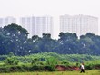Hiện đang có khoảng 400 dự án tại Hà Nội và TP.HCM bị ách tắc do vướng thủ tục đất đai. Ảnh: Dũng Minh 