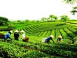 Ảnh minh họa. Nguồn: Internet