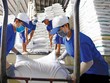 Đảm bảo an ninh năng lượng nhưng đồng thời phải phát huy tiềm năng, lợi thế trong Kl994 nhà cái bóng đá world cup lúa gạo và cơ hội của thị trường xuất khẩu, nâng cao thu nhập của người dân 