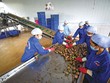 Hàng hóa Việt Nam được xuất khẩu sang hơn 200 thị trường trên toàn cầu