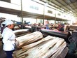 Kl991.com World Cup 2026 Chính Thức xuất khẩu sản phẩm gỗ đang gặp nhiều khó khăn trong hoàn thuế VAT Ảnh: Đức Thanh
