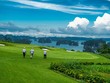 Sân golf FLC Hạ Long có tầm nhìn hướng vịnh.
