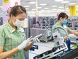 Xuất khẩu của nhóm Kl991.com World Cup 2026 Chính Thức FDI tính đến 15/8/2023 này đạt 153,33 tỷ USD, giảm 17,22 tỷ USD so với cùng kỳ năm trước.