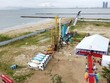 Ai chịu trách nhiệm về thiếu sót trong khai thác lâm sản tại Dự án Ninh Chữ Sailing Bay? 
