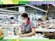 May Sông Hồng (MSH): Ứng xử linh hoạt để thích nghi trong giai đoạn thử thách