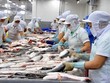 Mỹ nhận hồ sơ đề nghị rà soát hành chính thuế chống bán phá giá đối với cá tra-basa, ống đồng, tháp gió của Việt Nam.