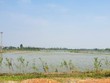 Hiện trạng khu vực được quy hoạch thực hiện dự án Khu đô thị sinh thái ven sông phía Tây Bắc đường Lê Lợi, TP. Đồng Hới (khu đô thị mới). Ảnh: Ngọc Tân 