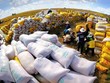 Giá gạo 5% tấm xuất khẩu của Việt Nam hôm 31/8 đạt 643 USD/tấn, cao hơn 10 USD/tấn so với gạo cùng loại của Thái Lan.
