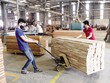 Sản lượng, số lượng đơn đặt hàng mới, hoạt động xuất khẩu và mua hàng đều đã tăng trở lại. Ảnh: Đức Thanh 
