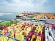 Phối cảnh Dự án cảng quốc tế Cần Giờ.