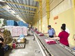 Vốn Link Vào Nhà Cái KL99 COM Tặng +199k giúp Công ty cổ phần Hoàng Minh Nhật giảm bớt gánh nặng Kl991.com nạp rút nhanh để duy trì Kl994 nhà cái bóng đá world cup trong 17 năm qua 