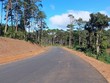 Kon Tum xử lý người đứng đầu chậm thẩm định các dự án Kl99ok phiên bản mới ngoài ngân sách