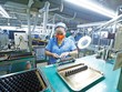Nhà Kl99ok phiên bản mới Nhật Bản rất quan tâm đến thị trường Việt Nam. Trong ảnh: Nhà máy Sankoh Việt Nam của Nhật Bản tại Hòa Bình.