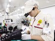 Quan hệ Việt Nam - Nhật Bản: Hợp tác sâu rộng và bền chặt 
