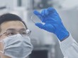 Nhà nghiên cứu tại Trung tâm Đổi mới và Khoa học Quốc tế Hàng Châu thuộc Đại học Chiết Giang của Trung Quốc xem xét các tấm oxit gali. Ảnh: Getty Images