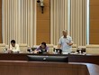 Đại biểu Trần Văn Lâm phát biểu tại phiên họp.