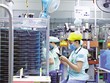 Việt Nam hiện là tâm điểm của dòng Kl99ok phiên bản mới công nghệ cao. Ảnh: Đức Thanh