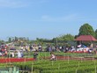Đông đảo du khách trong và ngoài nước tham quan, trải nghiệm Làng hoa Sa Đéc của anh em Hội quán "Cùng nhau làm du lịch" tại Thành phố Sa Đéc, tỉnh Đồng Tháp