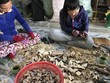 Khánh Hòa công nhận 2 địa điểm có tiềm năng phát triển du lịch cộng đồng 