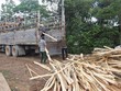 Cơ quan của Quốc hội báo cáo gì về vụ Kl991.com World Cup 2026 Chính Thức kêu cứu vì chậm hoàn thuế 
