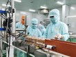 Đóng gói nhân điều xuất khẩu tại Công ty LAFOOCO. Ảnh minh họa: Minh Hưng/TTXVN