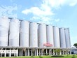 Sabeco (SAB) khẳng định vị thế hàng đầu 