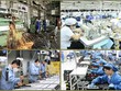 Thực hiện nghiêm kế hoạch sắp xếp lại, cổ phần hóa, thoái vốn 99Kl99 trực tiếp đá gà 