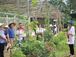 Du khách tham quan trang trại Đồng quê tại huyện Ba Vì (Hà Nội). Ảnh: Hạnh Phúc