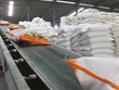 Doanh thu xuất khẩu gạo đang tiến gần mức 5 tỷ USD nhờ thuận lợi về thị trường và giá xuất khẩu tăng cao.