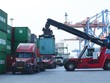 Giá cước vận tải đang ở mức thấp so với năm 2022 và tương đương giai đoạn trước dịch Covid-19, nên sẽ khó giảm thêm