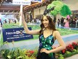 Các dự án của Novaland đang được gỡ vướng pháp lý. Ảnh: Lê Toàn 