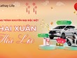 Chương trình khuyến mại khai xuân hái lộc của Kl99kl phiên bản hoạt động nhân thọ Cathay Việt Nam