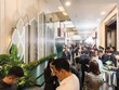 Nhiều dự án được đưa ra thị trường dịp cuối năm. Ảnh: Dũng Minh 