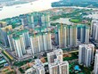 Nhiều dự án ở khu Đông, TP. Thủ Đức ra hàng. Ảnh: Lê Toàn 