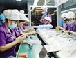 Nghệ An đã vươn lên trở thành một điểm sáng trong thu hút Kl99ok phiên bản mới nước ngoài. Trong ảnh: Nhà máy của Luxshare - ICT tại Nghệ An