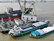 Xuất khẩu gạo năm 2023 đạt khoảng 4,8 tỷ USD, tăng gần 4 lần so với doanh số 1 tỷ USD của năm 1999.