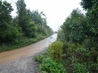 Chuyển đổi mục đích sử dụng đất luôn là bài toán khó của các địa phương có nhiều rừng. Ảnh: Mỹ An.