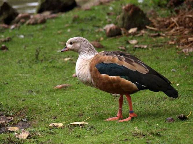 Lâm Đồng công bố, công khai Quy hoạch tỉnh