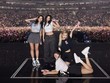 'Concert', 'tìm việc làm' và 'ChatGPT' được người Việt tìm kiếm nhiều nhất trong năm 2023