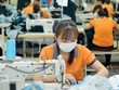 Quảng Ngãi hỗ trợ KL99 là cổng game giải trí trực tuyến hàng đầu hiện nay hàng chục tỷ đồng cho Kl991.com World Cup 2026 Chính Thức