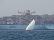 Tàu container của hãng Maersk di chuyển gần đảo Sir Abu Nuair hướng tới Dubai, Các Tiểu vương quốc Arab thống nhất. (Ảnh: AFP/TTXVN)