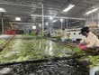 Xuất khẩu hàng hóa sang Trung Quốc tăng trưởng 6,4% trong năm 2023.