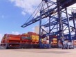 Xuất khẩu hàng hóa sang thị trường Ấn Độ năm qua tăng trưởng 6,7%, đạt 8,5 tỷ USD.