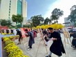 TP.HCM: Rộn ràng Lễ hội Tết Việt Giáp Thìn 2024