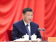 Chủ tịch Trung Quốc Tập Cận Bình được mời tham dự hội nghị thượng đỉnh hoà bình Ukraine. Ảnh minh hoạ: THX/TTXVN