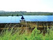 Lâm Đồng phê duyệt 13 cơ sở sử dụng năng lượng trọng điểm năm 2023