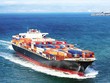 Giá cước vận tải biển tăng cao, khiến các công ty xuất khẩu ngày càng khó khăn