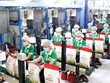 Thế giới đang tăng cường Link Vào Nhà Cái KL99 COM Tặng +199k gạo của Việt Nam